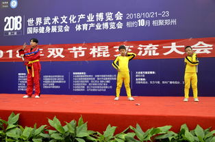 2018世界武术文化产业博览会双节棍交流大会圆满落幕，推动文化艺术交流新高度